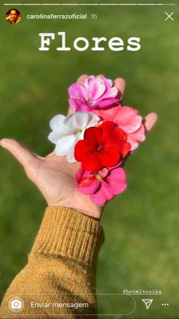 Instagram Carolina Ferraz (2).PNG