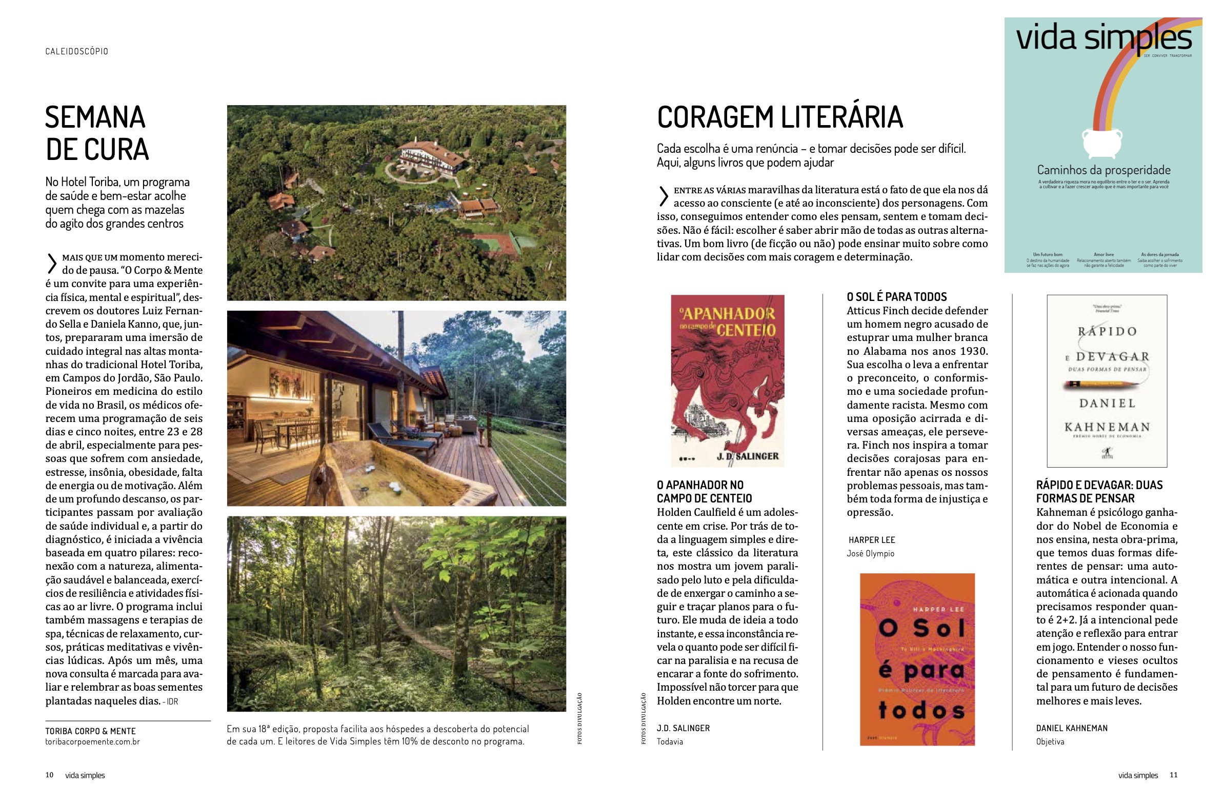 REVISTA VIDA SIMPLES 